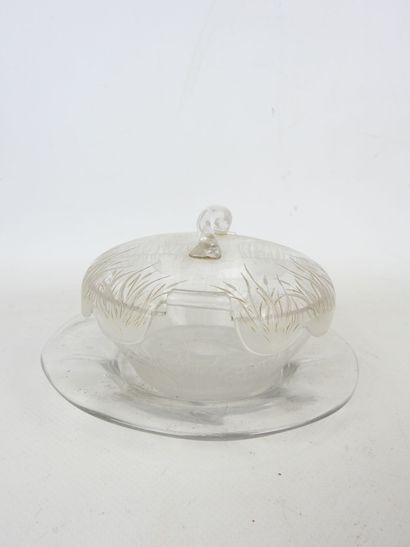 Glass JUG and saucer with engraved reed decoration...