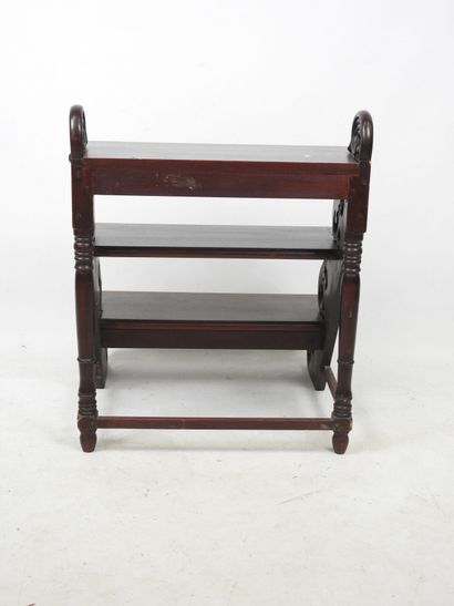 Three-step bookcase STAIR in exotic wood...
