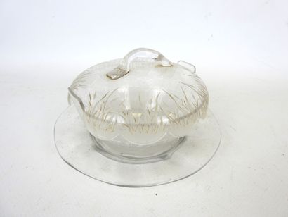 Glass JUG and saucer with engraved reed decoration...