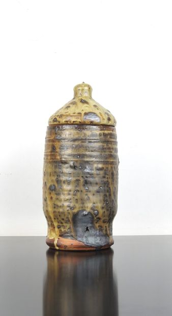 Pierre DIGAN (1941-2016) à LA BORNE: Pyrity...