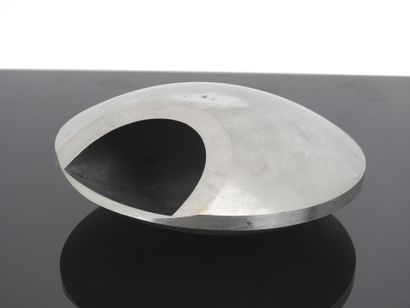Roger TALLON (in the taste): Brushed metal...