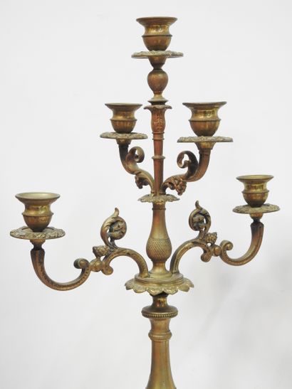 Paire de candélabres en bronze à 5 bras de...