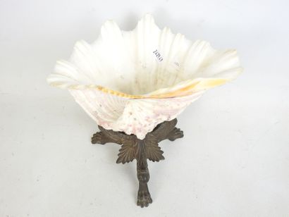 CUP resting on three regule claw feet supporting...