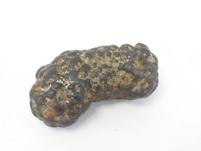 MARCASSITE / pyrite. L.12.5 cm, Weight :...