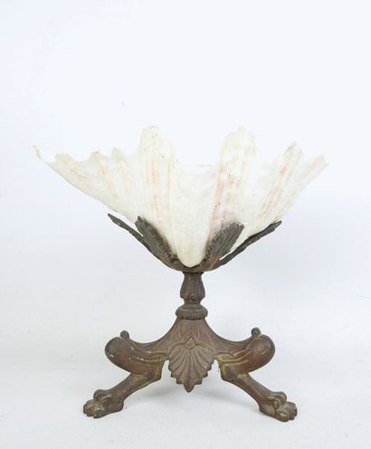 CUP resting on three regule claw feet supporting...