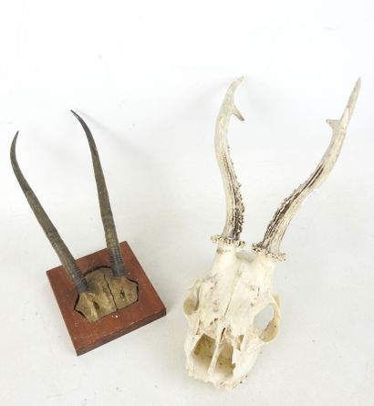 Two gazelle /cervid MASSACRES, one on wooden...
