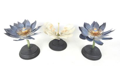 THREE LOTUS FLOWERS in blue and white painted...