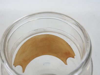 PHARMACY JUG in glass with metal lid. Paper...