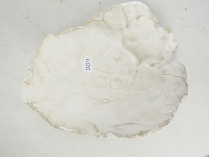 MORTUARY MASK in plaster. 20 x 14 cm. Attached...