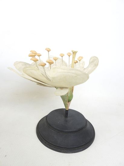 THREE LOTUS FLOWERS in blue and white painted...