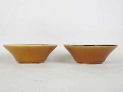 SARREGUEMINES: Pair of earthenware dishes...
