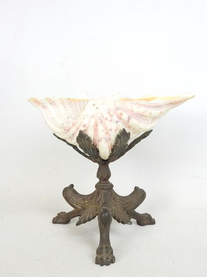 CUP resting on three regule claw feet supporting...