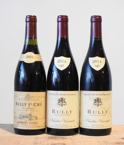 3 bottles
2 Domaine Naudin Varrault - Rully...
