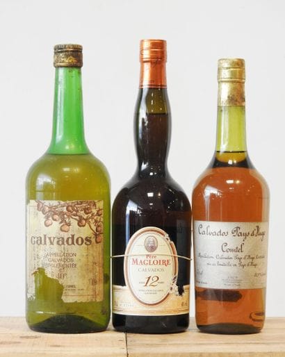 3 bouteilles
1 Père Magloire Calvados 12...