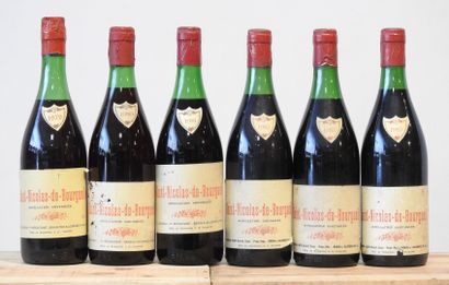 6 bouteilles
1 Saint-Nicolas-de-Bourgueil...