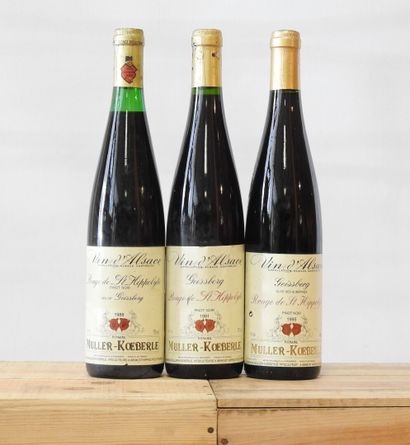 3 bottles
1 Geissberg rouge de Saint Hyppolite...
