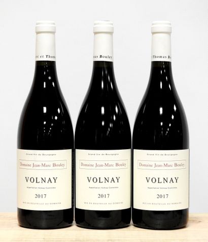 3 bouteilles
Domaine Jean Marc Bouley - Volnay...