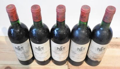 5 bottles
Château Montrose - Saint Estèphe...