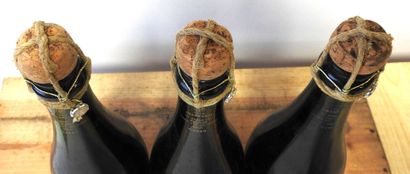 3 bouteilles
Champagne Aÿ Grang cru - Premier...