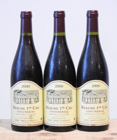 3 bottles
Domaine Eric Montchovet - Coucherias...