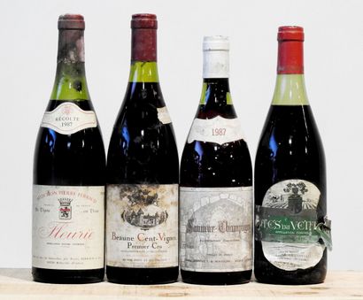4 bouteilles - Tour de France des vins rouges
1...