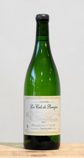 1 bouteille
Les Culs de Beaujeu - Sancerre...