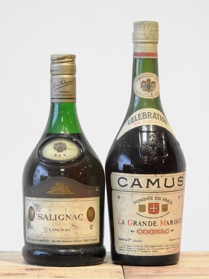 2 bouteilles
1 Salignac Grande fine Cognac...