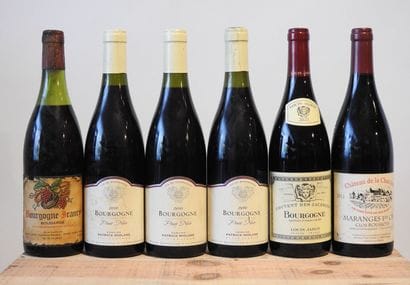 6 bottles
1 Domaine Germain Darles - Bourdade...