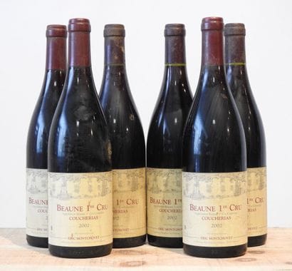 6 bottles
Domaine Eric Montchovet - Coucherias...