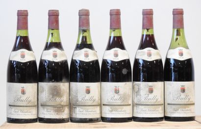 6 bouteilles
Clos de Bellecroix - Domaine...