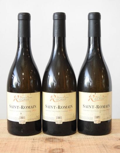 3 bottles
Domaine Blandine & François Rocault...
