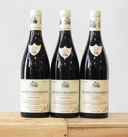 3 bottles
Gevrey Chambertin - Les Crais de...