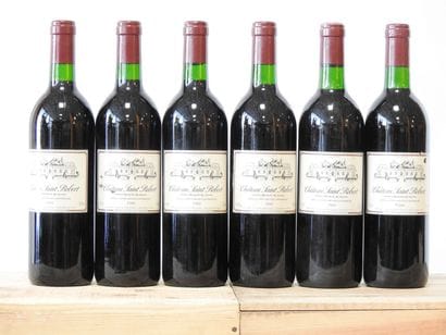 6 bottles
Château Saint Robert - Graves -...