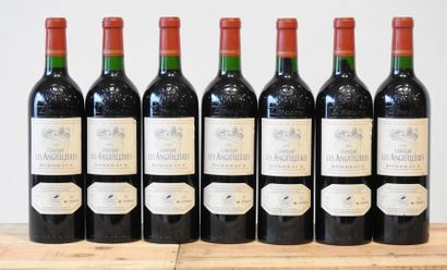 7 bottles
Château les Anguillères - Bordeaux...