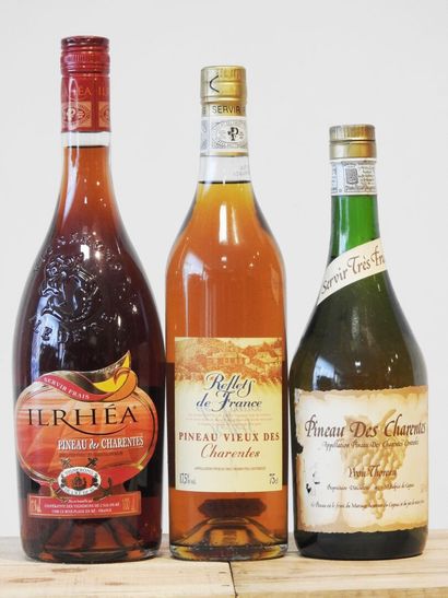 3 bouteilles
1 Ilrhéa Pineau des Charentes...