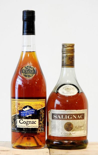 2 bouteilles
1 Cognac VSOP 70 cl.
1 Salignac...