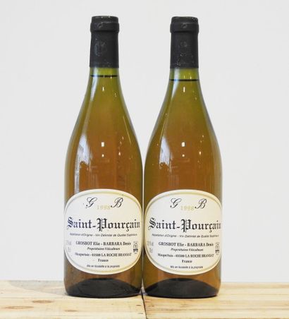 2 bottles
Saint-Pourçain - Elie Grosbot &...