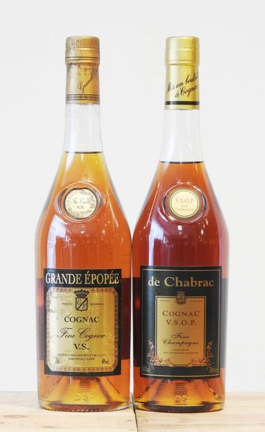 2 bouteilles
1 Grande épopoée Fine Cognac...