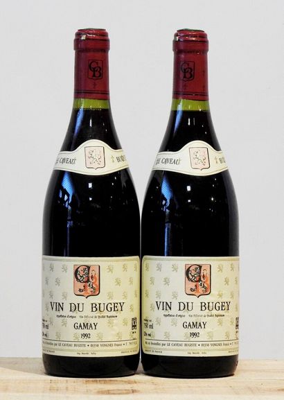 2 bouteilles
Vin de Bugey - Gamay - Le caveau...