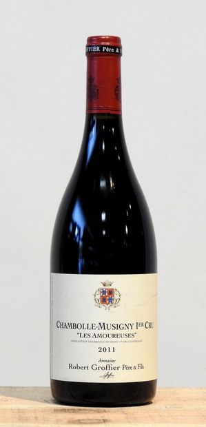 1 bouteille
Domaine Groffier Père & fils...