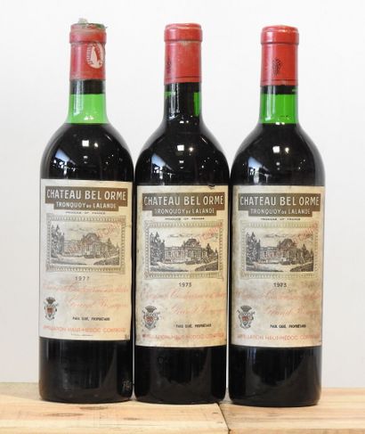 3 bouteilles
Château Bel Orme Tronquoy de...