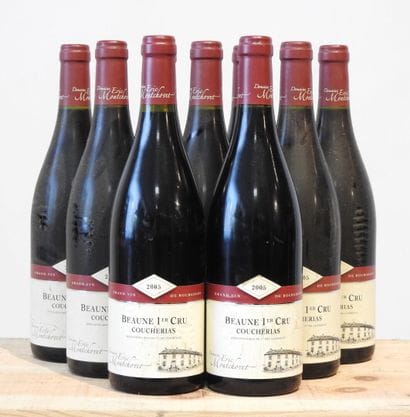 9 bottles
Domaine Eric Montchovet - Coucherias...