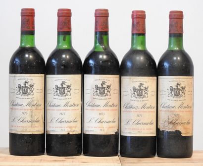 5 bottles
Château Montrose - Saint Estèphe...