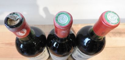 3 bouteilles
Château Bel Orme Tronquoy de...