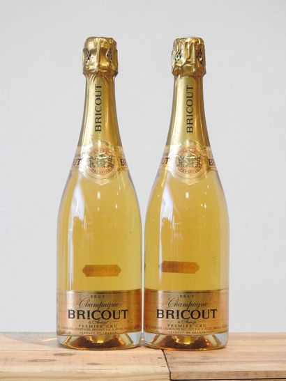 2 bouteilles
Champagne Bricout - Premier...