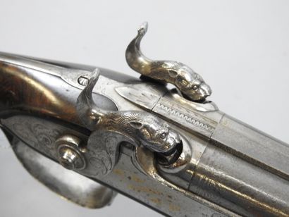 Fusil à chiens extérieurs MANUEL à Coulomiers,...