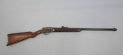 Carabine MANUFRANCE Buffalo stand , calibre...