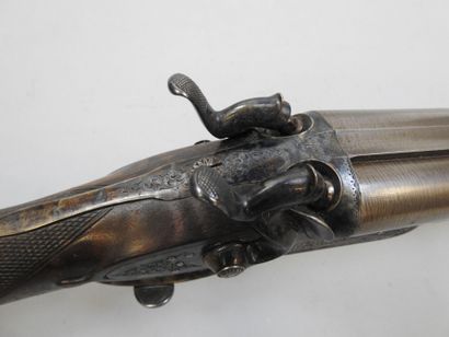 Fusil à chiens extérieurs, calibre 16, canons...