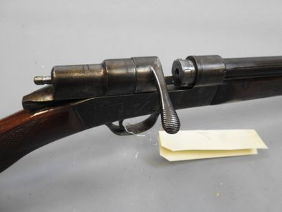 Carabine MANUFRANCE Buffalo stand , calibre...