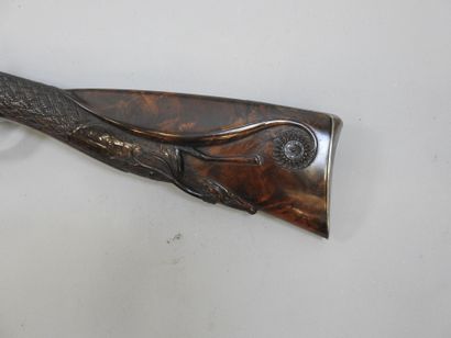 Fusil à chiens extérieurs MANUEL à Coulomiers,...